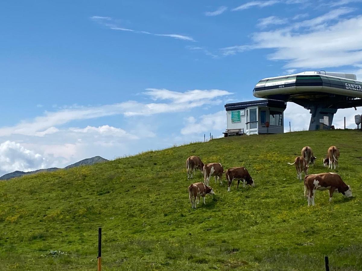 Penthaus Kitzebueheler Alpen Lägenhet Neukirchen am Großvenediger Exteriör bild